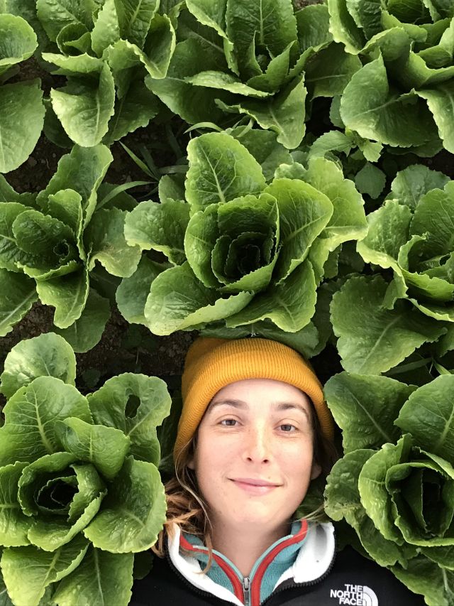 Photograph of a smiling person in a yellow beanie lying among large green lettuce heads.