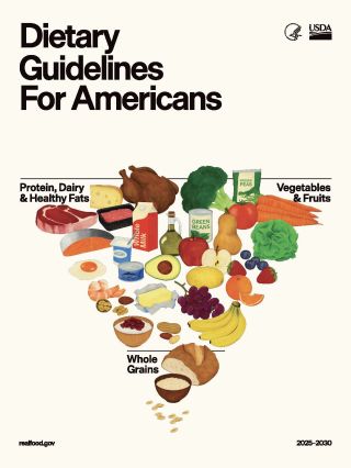 Inverted food pyramid graphic showing fruits, vegetables, proteins, dairy, and whole grains.