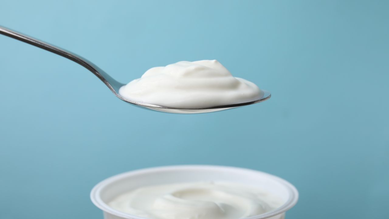 spoonful of creamy yogurt held above an open yogurt cup against blue background 