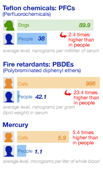 Chart showing PFCs in pets