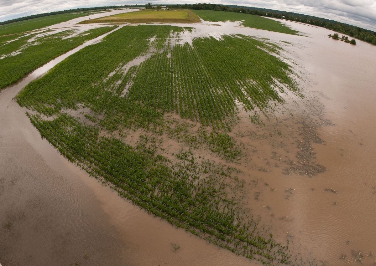 Flooded farm