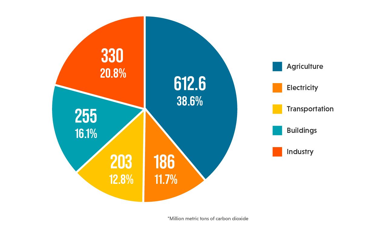 Pie chart displaying carbon dioxide emissions by sector: Agriculture, Electricity, Transportation, Buildings, Industry.