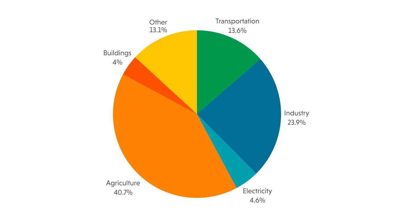 Pie chart - Agriculture 41%, Industry 24%, Transport 14%, Other 13%, Electricity 5%, Buildings 4%