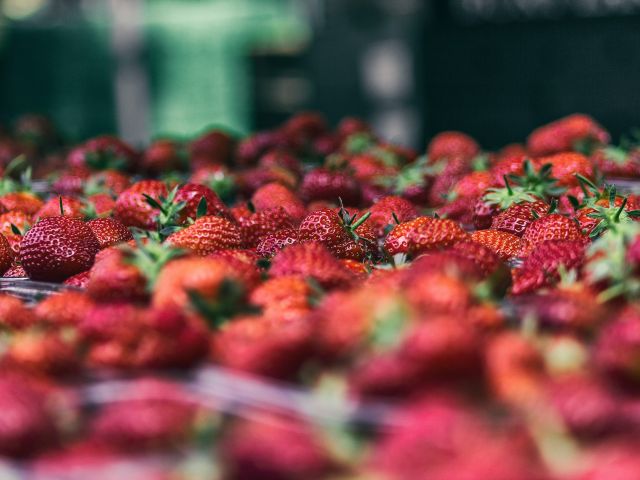 Strawberries
