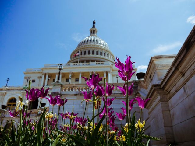 Capitol Building