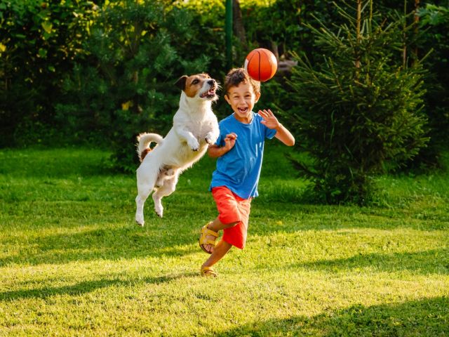 Child playing with dog