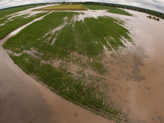 Flooded farm