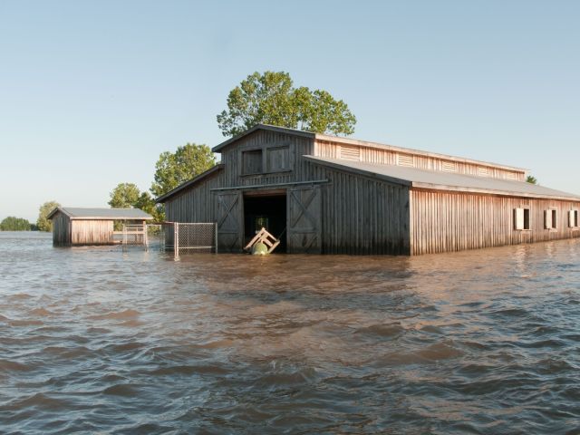 Flooded barn