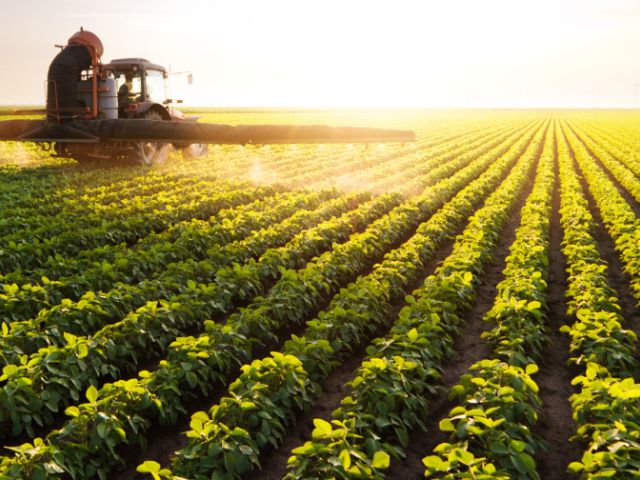 Field full of plants having pesticide sprayed on it