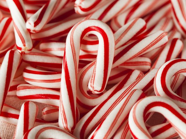 Close-up of several red and white striped candy canes scattered together.