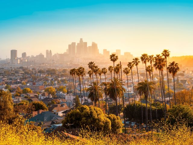 Sunset over Los Angeles skyline with palm trees and homes in the foreground.