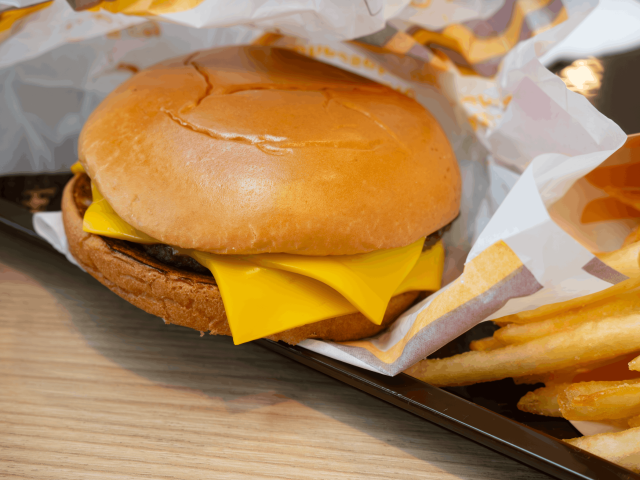 Fast food burger