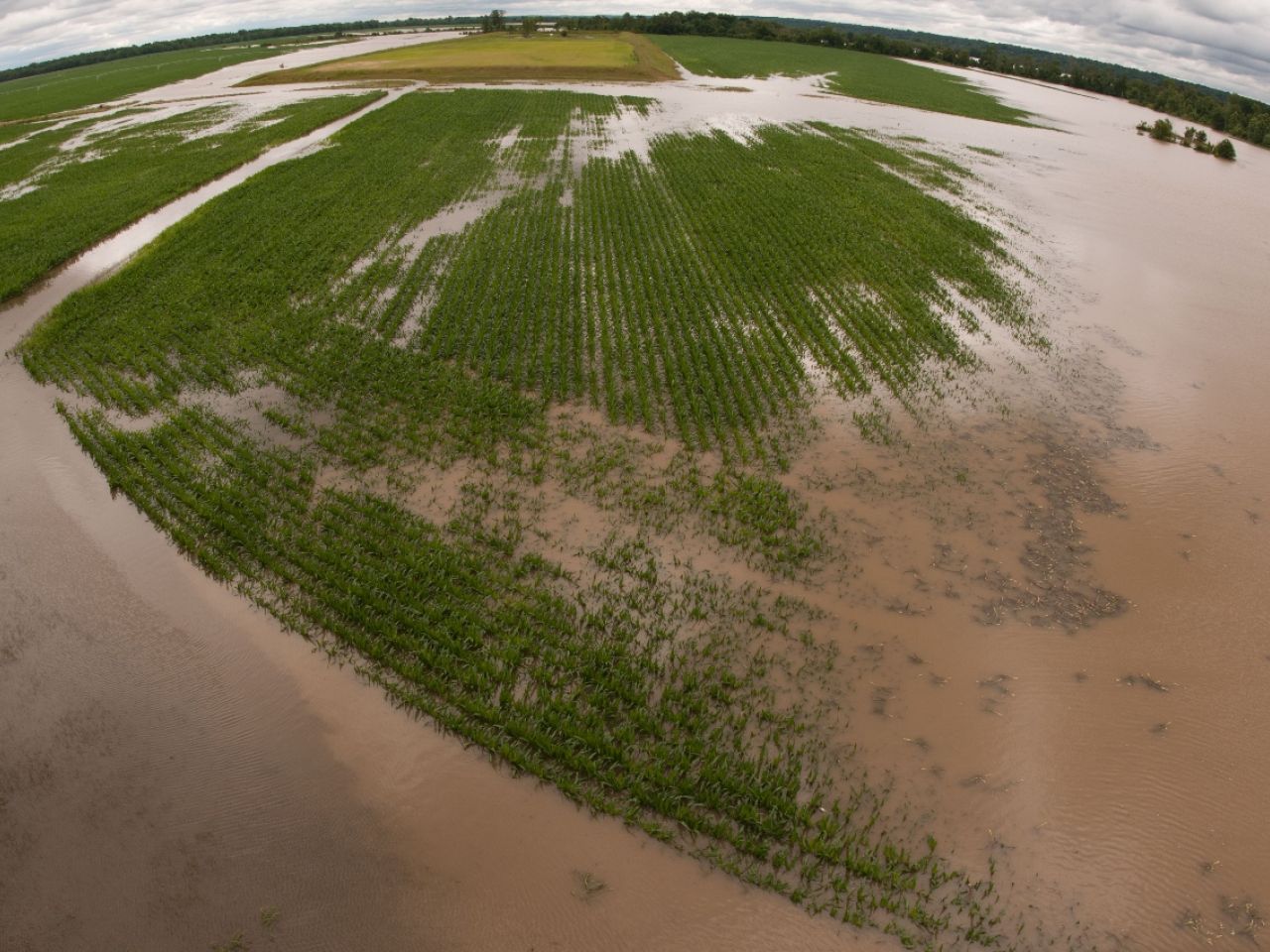 Flooded farm