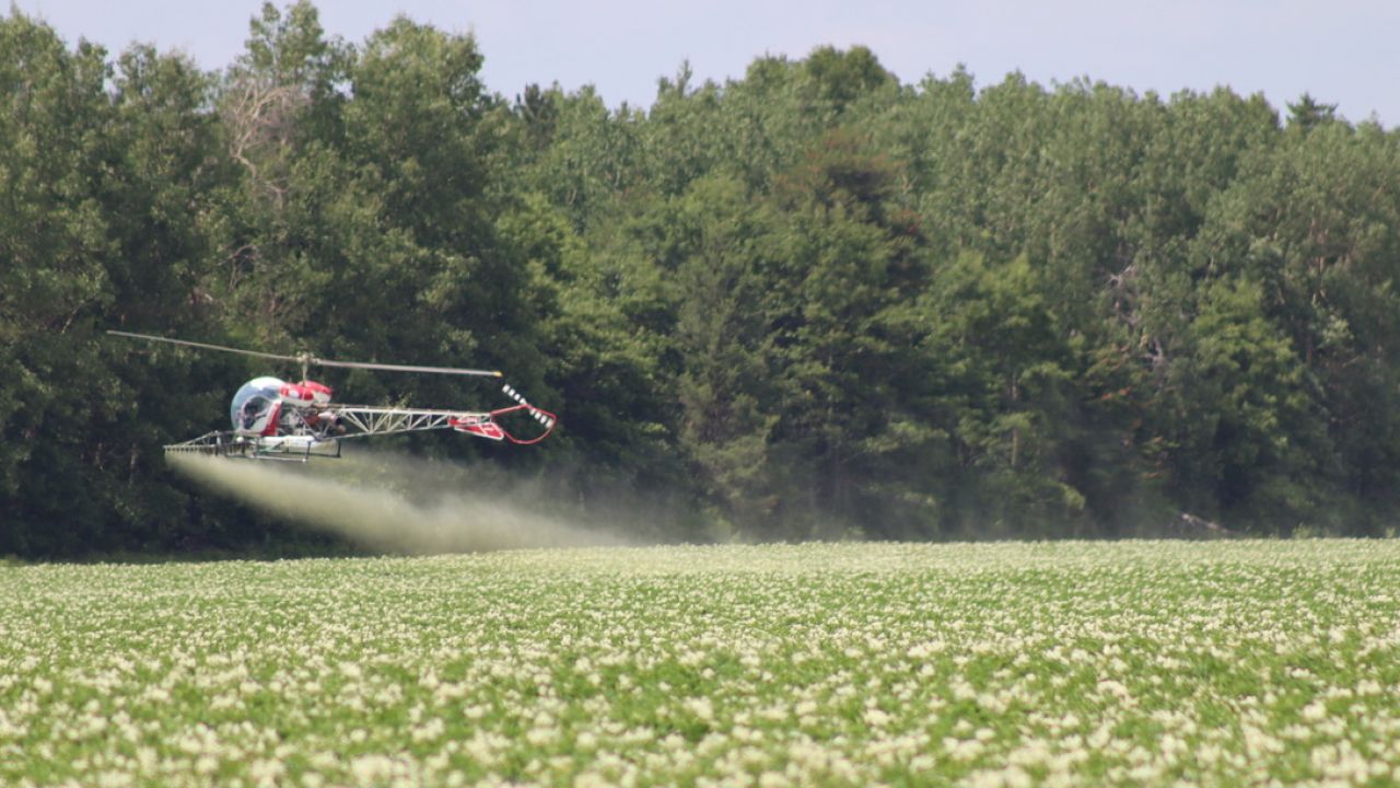 Crop duster photo