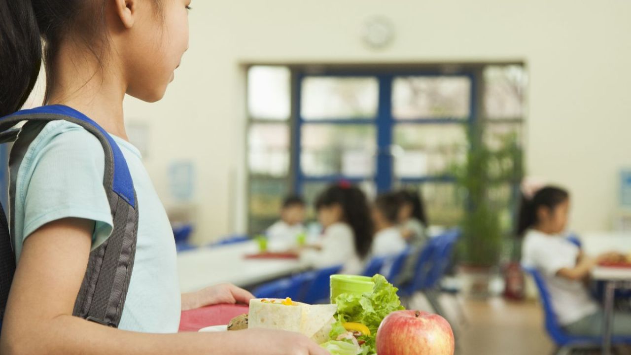 Child holding school lunch