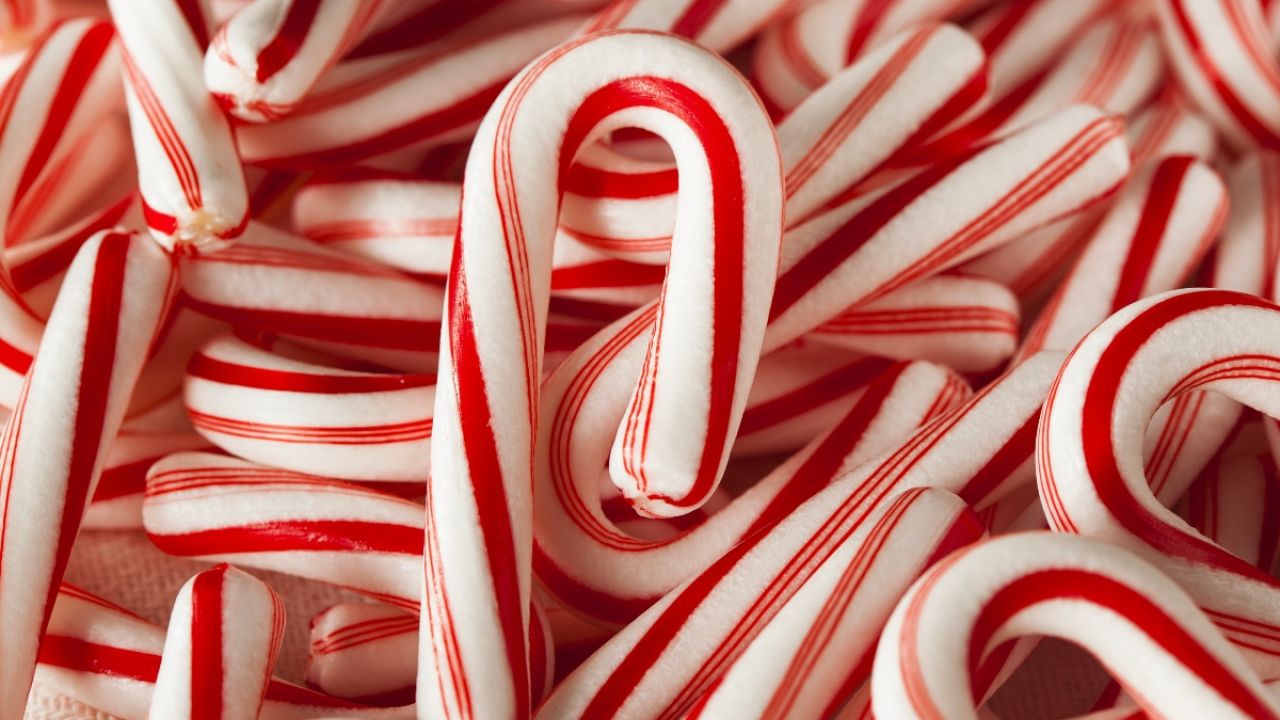 Close-up of several red and white striped candy canes scattered together.