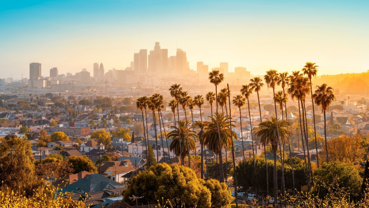 Sunset over Los Angeles skyline with palm trees and homes in the foreground.