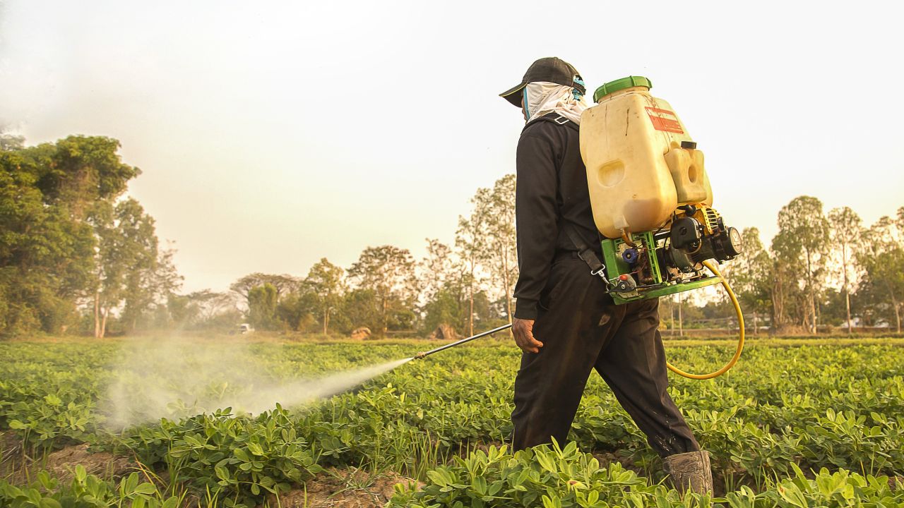 Paraquat spraying
