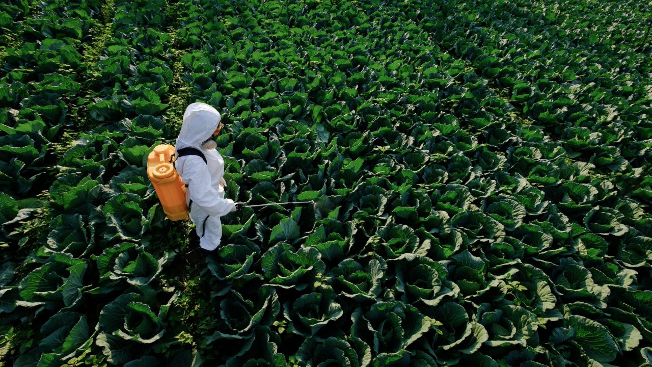 Farmworker applying paraquat